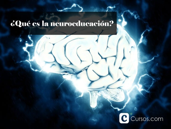 ¿Qué es la neuroeducación?