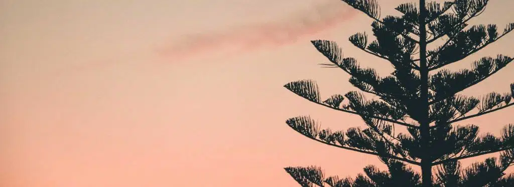 Oposiciones de Agente Medio Ambiente Andalucí­a