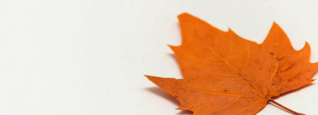 Oposiciones de Agente de Protección de la Naturaleza de Aragón