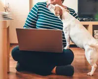 Estudia Adiestramiento Canino Online