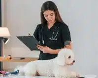 Mejores cursos de auxiliar técnico veterinario